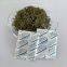 Food Grade Oxygen Absorber Deoxidizer 50cc 100cc 200cc 300cc for Food Storage