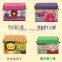 Cute Cartoon Plastic Boxes for Storage