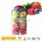 colorful lollipop candy animal shapes with mini round candy