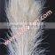 Wholesale Bleached White Peacock Feather For Bouquet DIY Decoration