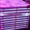 for Wedding LED Dance Floor Light
