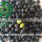 wholesale black kidney beans green/yellow kernel
