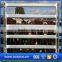 Pvc Coated Cattle Fence/oval Rail Cattle Panels