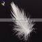 Safety 85% washed white goose feather