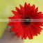 Pure and mild flavor new coming single daisy gerbera