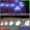 High power SMD & COB led par lighting/spot light (Warm white/ White/ Red /Green/ Bule/RGB)