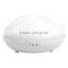 Essential Oil Diffuser ad-513 aromatherapy oil diffuser