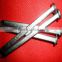 galvanized square boat nails made in China