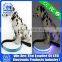 2015 Hot Selling LED Reflective Pet Leash