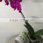 Direct manufacture rolling vinyl material water drink labels self- adhesive stickers printing