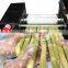 New Style High Capacity TP-1500-PRO Sugarcane Juice Machine, Sugar cane juicer machine price