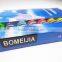 BOMEIJIA 12colors gouache colour set