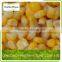 High Quality New Crop Frozen Sweet Corn Kernel