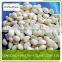 IQF frozen natural garlic, cloves, chopped, dice