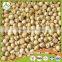 new cropin tin food canned mushroom