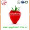 New crop High quality chinese Fresh Strawberry