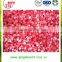 Grade A good to eat frozen strawberry from china