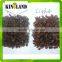 Gift packing oval shape sultana red raisin