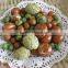 Export popular snack / Top quality Peanut Rice Crakers