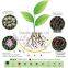 hotsale fertilizer price 18 18 18 npk fertilizantes precios