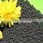High Grade 100% Water Soluble Granular Npk 30-9-9 28-8-8 25-5-5 20-20-20 25-5-5 Te Fertilizer in Factory Price