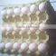Paper waterproof egg trays/Plastic food tray/ Plastic incubator egg tray