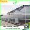 Commercial Greenhouse for Agriculture Flower Grow