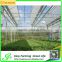 Polycarnonate sheeting greenhouse for sale