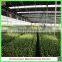 Polycarbonate board aluminium garden greenhouses from factory supplier