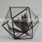 Micro landscape glasshouse clear glass globe hanging terrarium