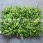 Plastic fern plant mat ivy mat