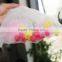 Cheap and fashional plastic net
