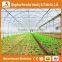 Heracles Trade Assurance multi-span greenhouse for sale