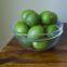 FRESH LIME