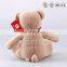 China factory plush cuddly sleeping teddy bear toy