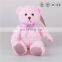 Romantic valentine plush pink heart i love you teddy bear