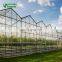 Comercial venlo vegetable glass greenhouse side ventilation glasshouse conservatory for sale