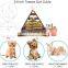 New Design Colorful Pet Teepee Tent Portable Dog House Washable Canvas Dog Tent