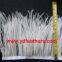 South africa ostrich feather trimming