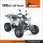 EEC 300cc Dune Buggy