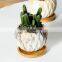 Popular Design Unique Small Ceramic Pots Indoor Circle European Mini Flowers Pot Set