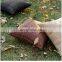 Trendy Cotton Designer Luxury African Wholesale Home Decor Case Decorative Throw Pillows
