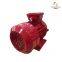 Ie3 Premium Efficiency Electric Motor