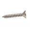 Self-Tapping Screws with Pan/Truss/Hex/Csk Head