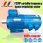 YE2VP series 3-phase ac variable frequency electric motor