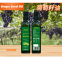 safflower oil vegetable oil