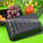eco-friendly disposable plastic plastic fruit tray