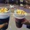 Custom printed plastic ice cream cup with straw                        
                                                                                Supplier's Choice