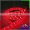 DC24V RGBW Flexible Led Light Strip with 30leds 60leds 96leds