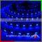 Outdoor DC12v Smd 5050 9.6w/m Led Strip Light 120leds IP65 With CE ROHS Kitchen Lamp!